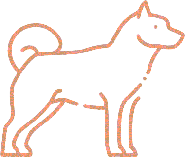 Lord Balto Games Dog